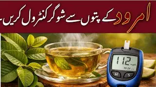 Guava Leaf Tea for Diabetes Control | Science-Based Truth (NCBI Research)