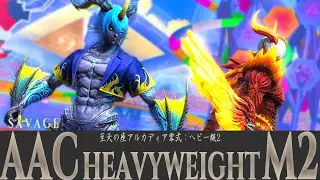FF14 - 至天の座アルカディア ヘビー級零式2 drk pov - BGM only Theme - FFXIV OST
