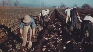 Rare Look at Japanese Relocation Camps in WW II....In Color!