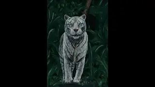Digital painting process, painting a white tiger