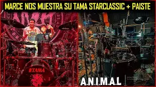 🚨Entrevista A Marcelo Castro De A.N.I.M.A.L (Tama Starclassic + Paiste ColorSound 900) 🔥 SET NEGRO 🥁