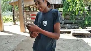 pranxana
