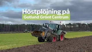 Höstplöjning på Gotland Grönt Centrum