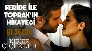 Feride İle Toprak'ın Hikayesi - Kırgın Çiçekler (1.Sezon)