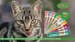 BUBIMEX - Creamy Snacks