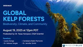 WEBINAR | Global Kelp Forests: Biodiversity, Climate, and Community