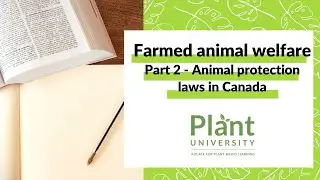 Farmed Animal Welfare Part 2 - farmed animal protection laws in Canada