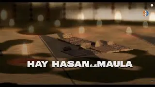 Whatsapp Status | Hay Hassan a.s Mola | 28 safar | Imam Hasan a.s | Rasool E Khuda |Farhan Ali Waris