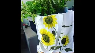 Landing and planting sustainable organic philosophy in Florida-Miami...