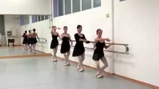 Lezione di Danza Classica - Pliés