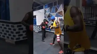 Boxing 1 1 2026 Find your way through
