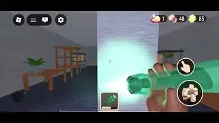 Playing with officer again
