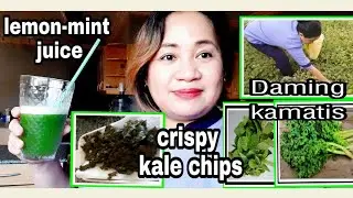 KALE CHIPS & LEMON MINT JUICE plus Tomato Harvesting  / luto ni ate Smorgs Pinay/Murang lutuin