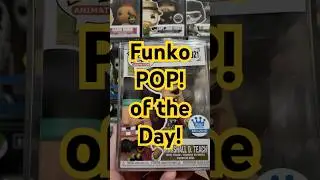 One of the laziest chases ever! #onepiece #funkopop #funkopopchase #marshalldteach #monkeydluffy