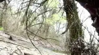 Однодневный поход в Плавни о.Хортица. (A one-day hike at Khortiza).