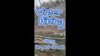 Winter Hiking Along Bryant Creek, Off Trail At The State Park