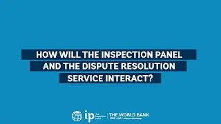 How will the Inspection Panel and the Dispute Resolution Service interact?