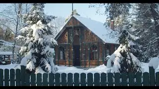 Зимний лес