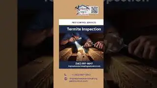Termite Inspection