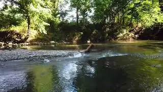 Franklin TN 93 acre riverfront farm near Leiper's Fork Tennessee Land for sale