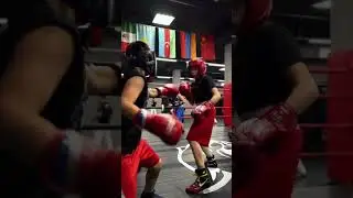 Boxing | Bars Fight Club