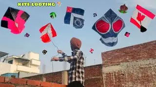 Kite Looting 🪁 | How To Catch Others Kite | Kite Looting from terrace | kites vlog