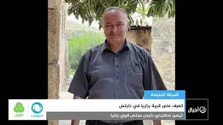 تعرف على قرية بزاريا في نابلس| #بزاريا #نابلس
