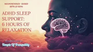 6 Hours ADHD Sleep Support &bull; Beta/Brown Noise Black Screen &bull; Quiet Your Racing Mind