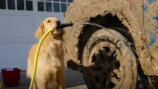 Handwash | Subaru Outback Wilderness Dog Tested TV Commercial