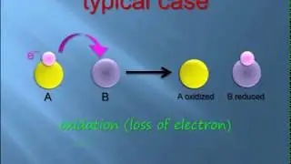 Isosbestic Point in Interconversion | Physical Chemistry | Score high in exam.