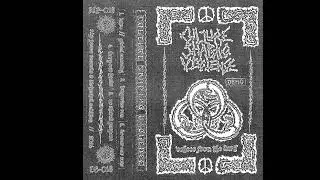 Culture Shaping Violence - Echoes From the Dark - Demo 2026