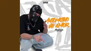 Automotivo Vai Amor