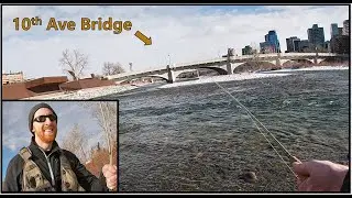 Winter Fly Fishing on the BOW RIVER in Downtown Calgary [SCOUT'S RUN? Calgary, AB, November 2020]