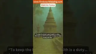 Daily Buddhist Quote #59 | Find Your Blessing #buddhist #motivation #quotes by #findyourblessing