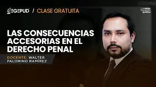 Clase Gratuita | Las Consecuencias Accesorias en el Derecho Penal – Walter Palomino
