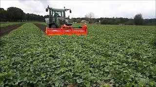 Struik Glutton 3000 haulm topper for sweet potatoes