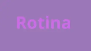 Rotina do dia