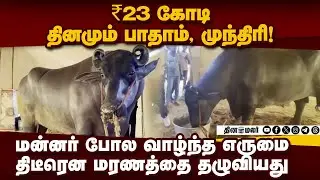 23 கோடிக்கு விலை பேசப்பட்ட எருமைக்கு என்ன நடந்தது? | Pushkar Fair | Buffalo | Rajasthan