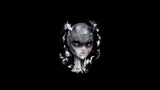 Ultravoice - Log On (Freakulizer Remix)
