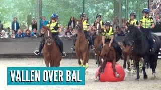 Valt paard over bal op Open Dag Bereden Politie? 😰
