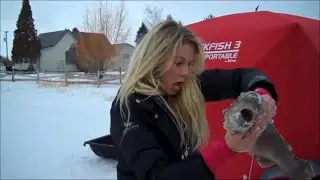 CARLIE'S BEST MOMENTS [Part 4]