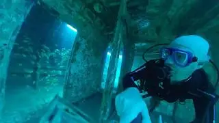 MV Trident Wreck Dive - Carlisle Bay, Barbados (1080p FreeCapture Video)