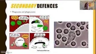 Defence against infectious disease (Part 1)
