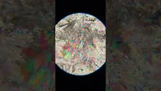 Anhydrite under cross polarized light, 10x magnification on a petrographic microscope
