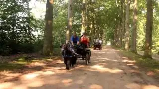 Barchemse paarden dagen 2015 dag 3