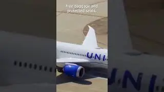 United Airlines will return to JFK with several daily flights in a deal with JetBlue | News 12