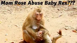 What Happened  Mom Rose? Why Mom Rose Abuse Baby Rex Like This? Baby Rex So Sad, Pity Baby So Much.