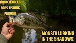 Backwater bass beatdown(non-stop creek fishing action!)