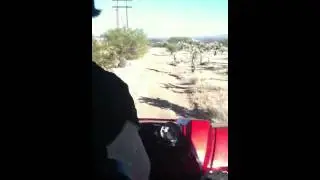 Alex Driving Whaaaat?