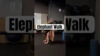 Elephant walk (użyj rollera lub kostki do jogi, jeśli nie sięgasz dłońmi do ziemi)